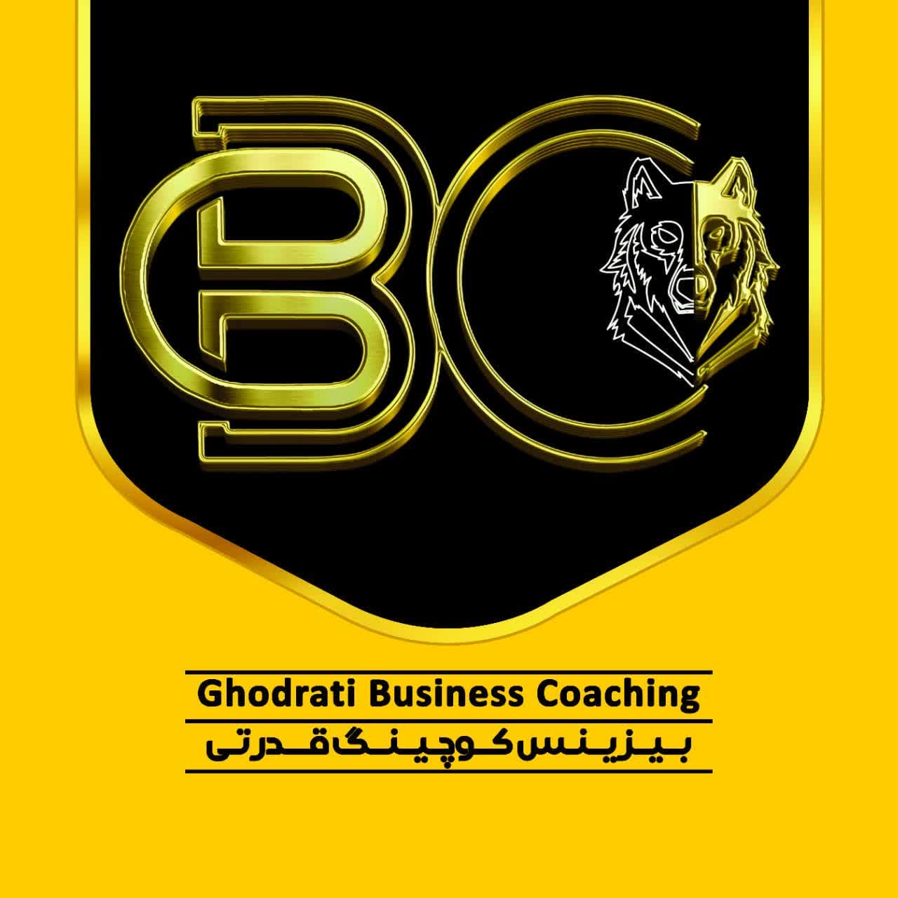 بیزینس کوچینگ دکتر قدرتی